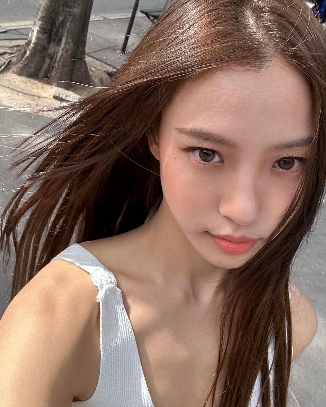 ส่องประวัติ โกมินชี จาก The Frog หากไม้ล้มในป่าลึก